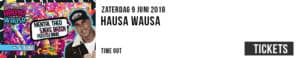 Hausa Wausa, Mental Theo, Sjieke bazen, feestmuziek, Time Out gemert, juni 2018, party